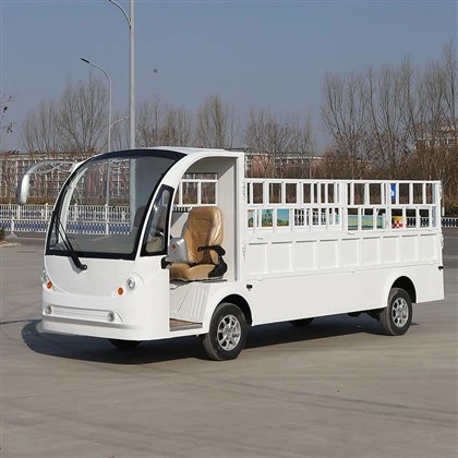 Camionnette électrique légère