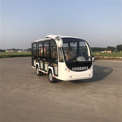 Voiture électrique touristique touristique