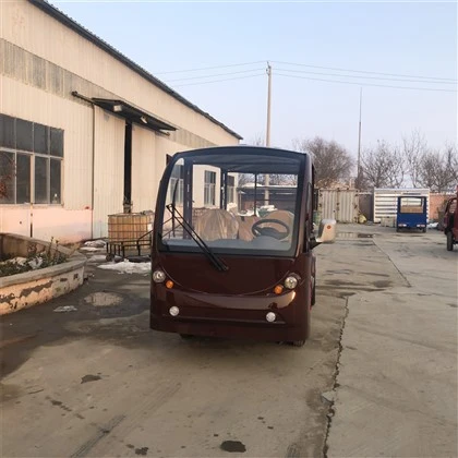 Voiture électrique touristique